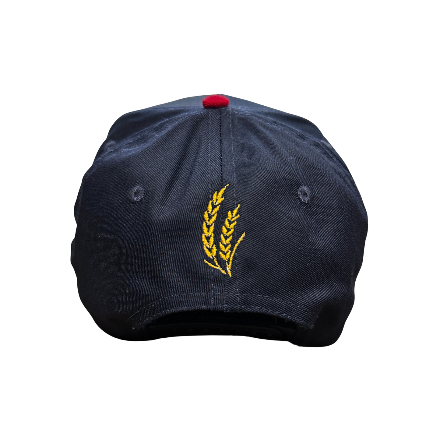 RTH v2 Cap