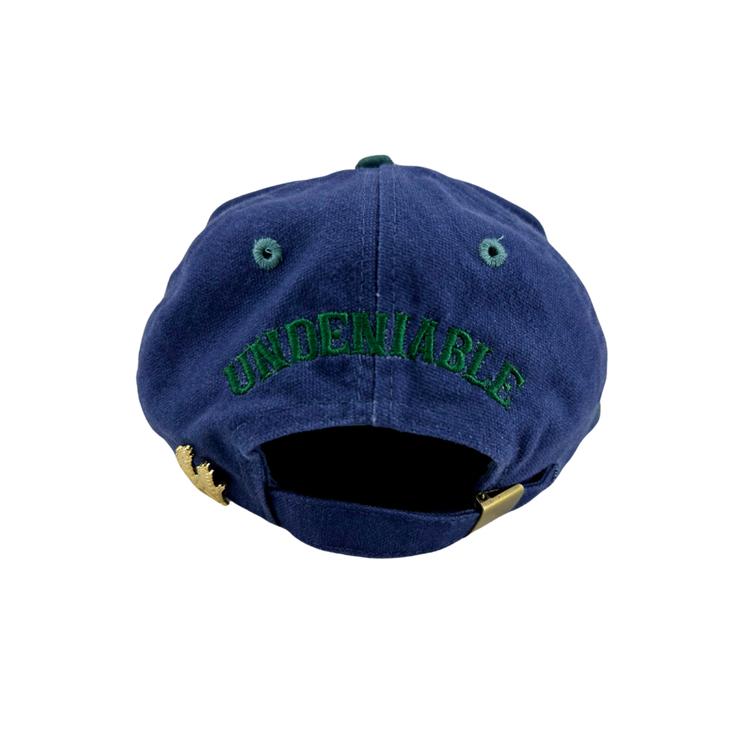 Navy & Green Strapback